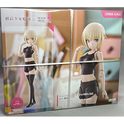 コトブキヤ グランデスケールドレスアップボディ【M】with 轟雷